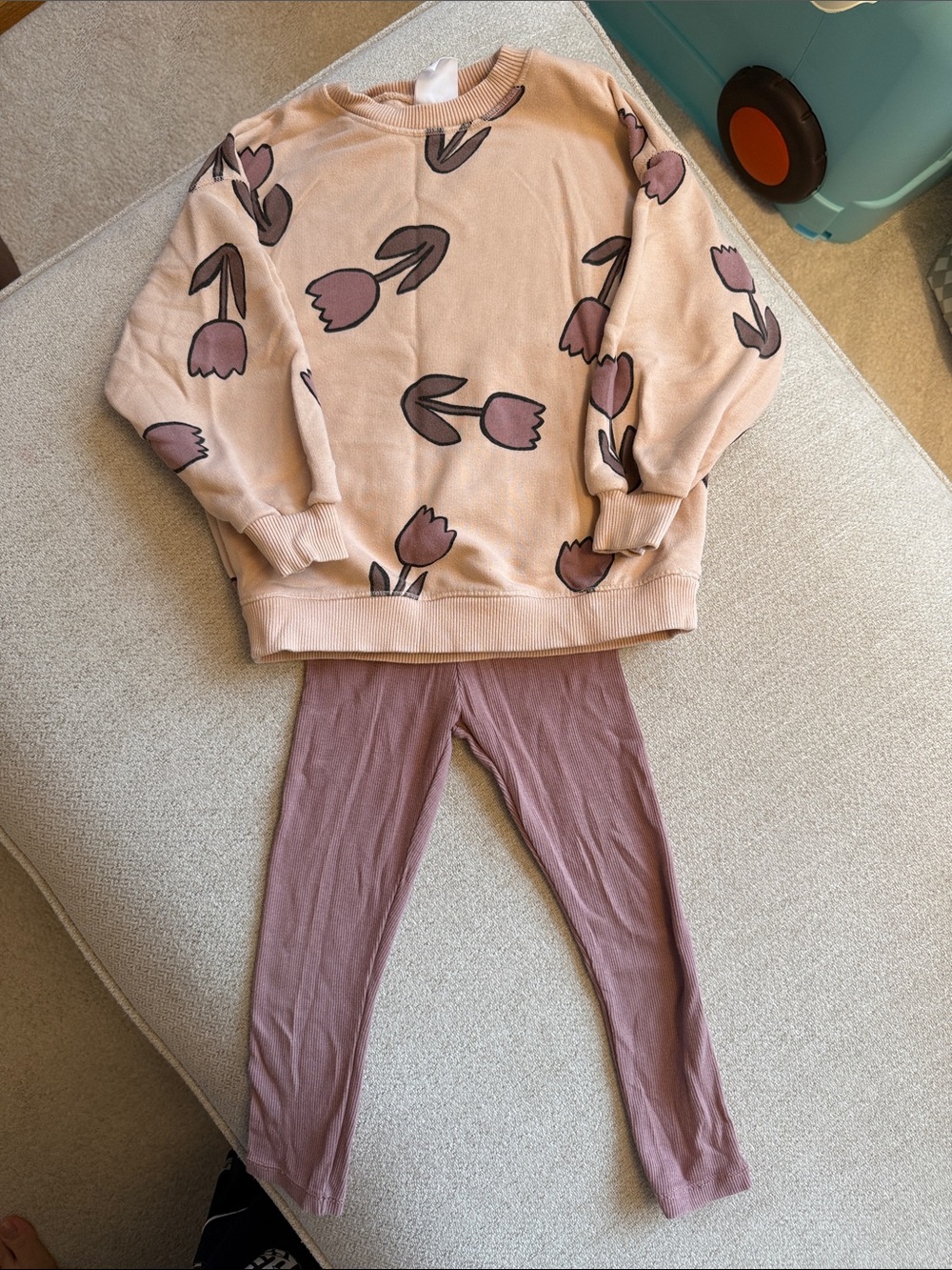 Zara Cream Pink Tulip Sweatshirt with Mauve Leggings